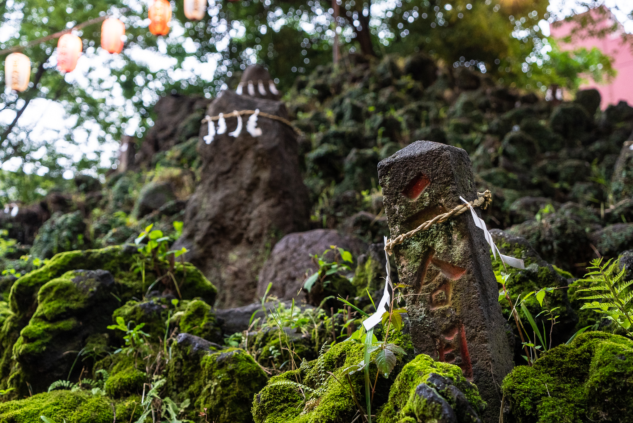 小野照崎神社について・小野照崎神社
