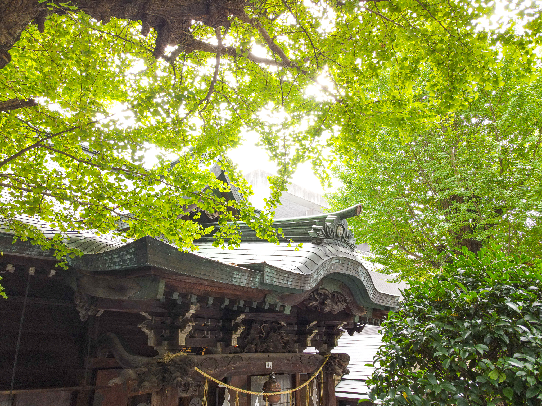 小野照崎神社について・小野照崎神社